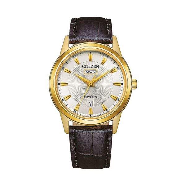 Citizen Herrenuhr Classic Elegant Day and Date AW0102-13AE Edelstahl